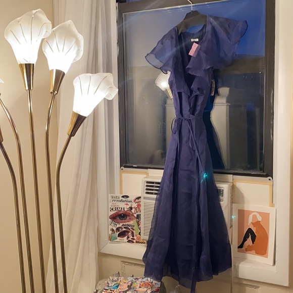 Reformation Flutter Sleeve Wrap Dress - Picture 7 of 11